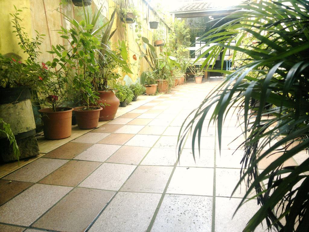 Balneário Camboriú Pousada Flor Amarela מראה חיצוני תמונה